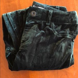 Cato dark green faux velvet skinny pant